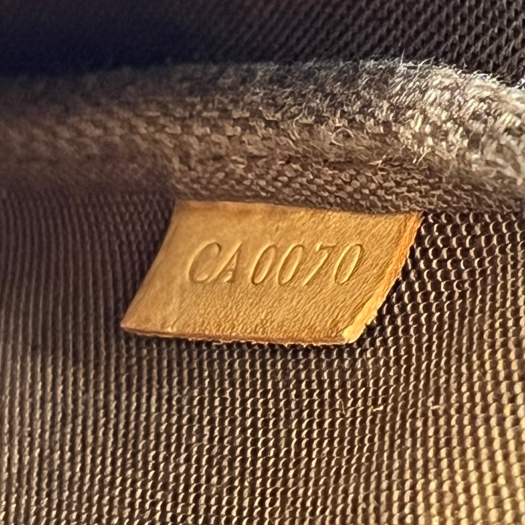 Louis Vuitton Monogram Pochette Accessories