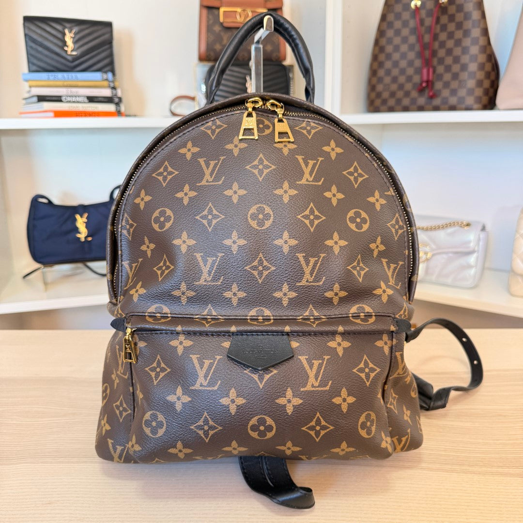 Louis Vuitton Monogram Palm Springs MM Backpack