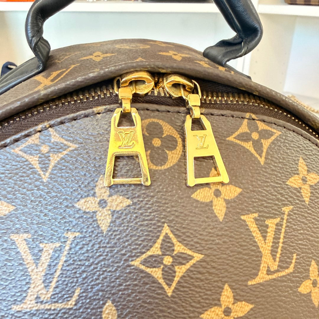 Louis Vuitton Monogram Palm Springs MM Backpack