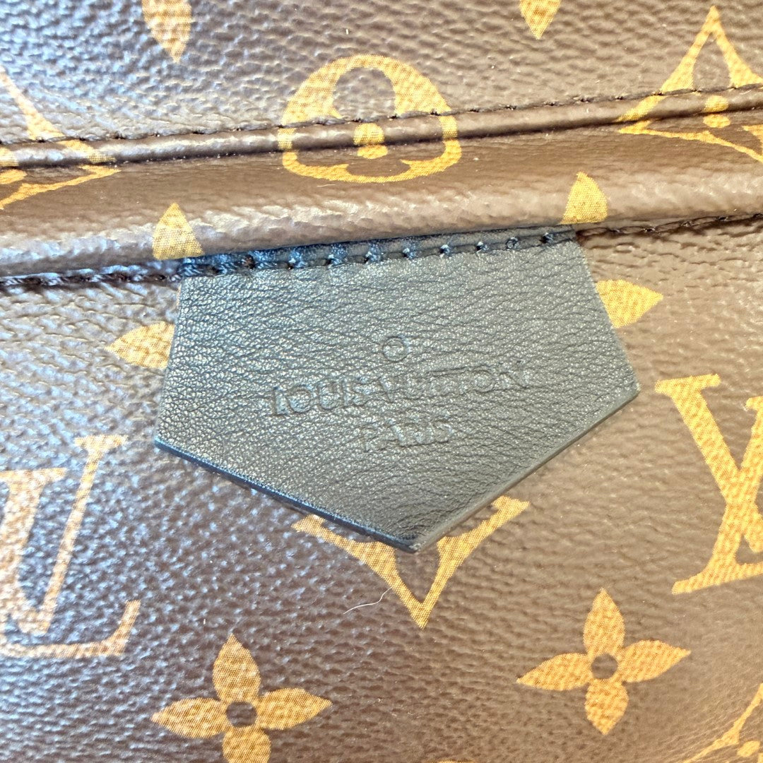 Louis Vuitton Monogram Palm Springs MM Backpack