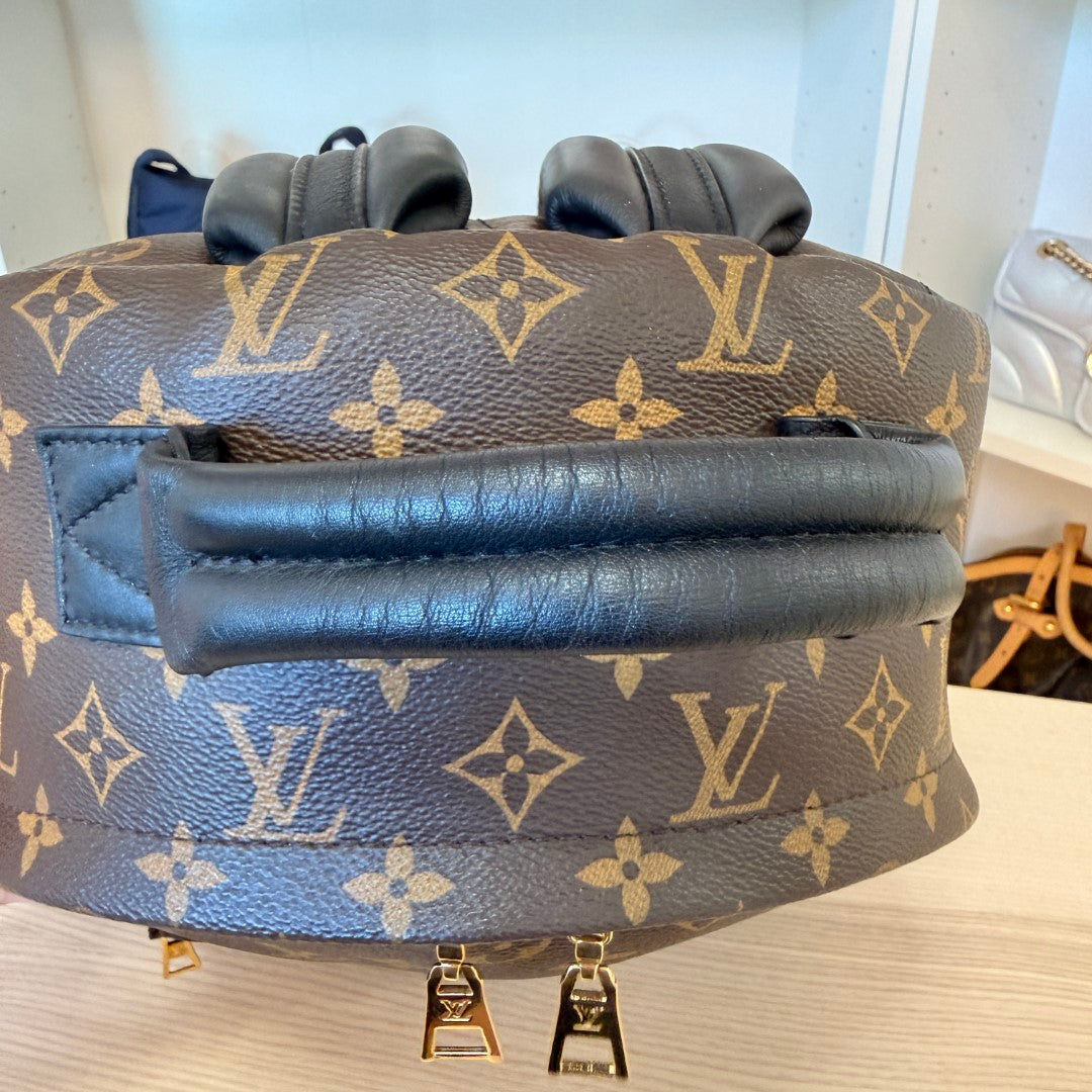 Louis Vuitton Monogram Palm Springs MM Backpack