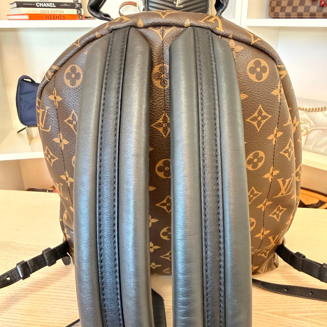 Louis Vuitton Monogram Palm Springs MM Backpack
