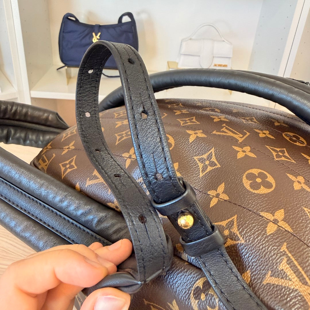 Louis Vuitton Monogram Palm Springs MM Backpack