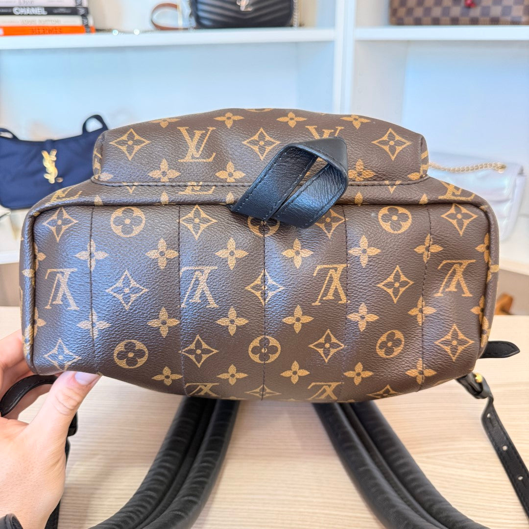 Louis Vuitton Monogram Palm Springs MM Backpack