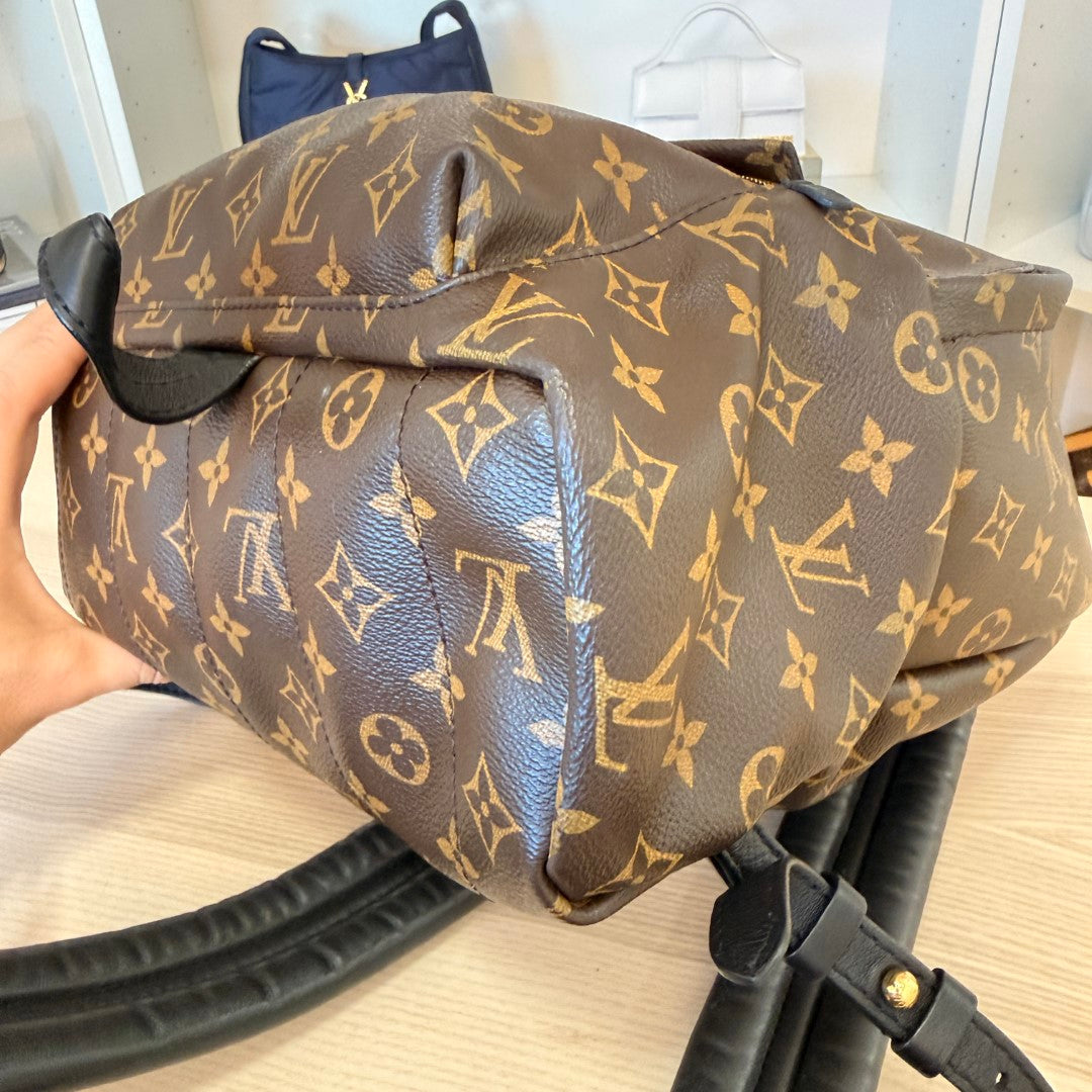 Louis Vuitton Monogram Palm Springs MM Backpack