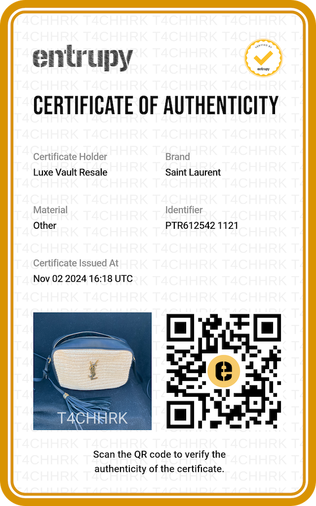 Saint Laurent Raffia Canvas Monogram Lou Camera Bag