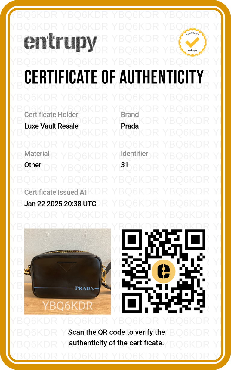 Prada City Calf Mirage Camera Bag