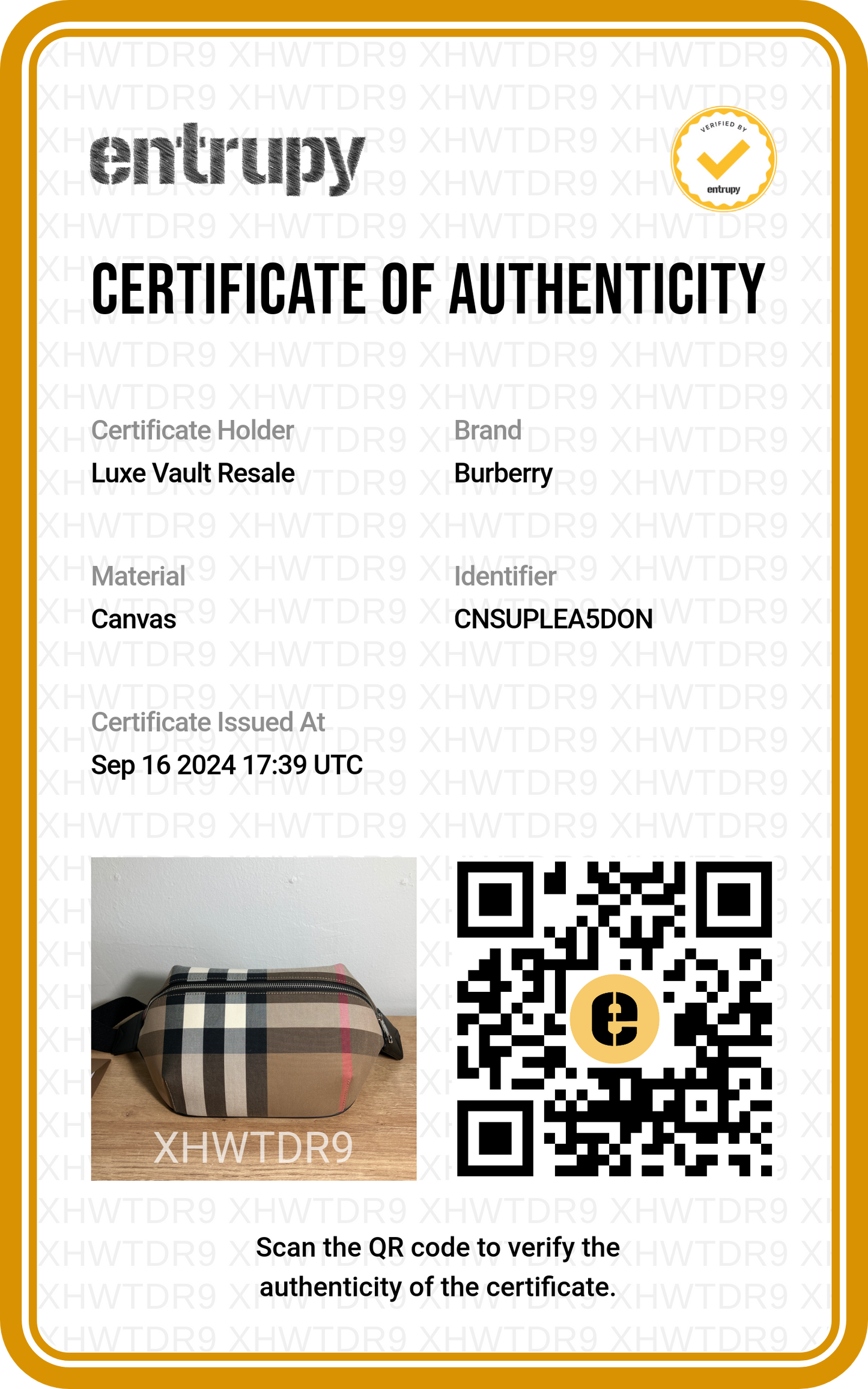 Burberry Sonny House Check Belt Bag