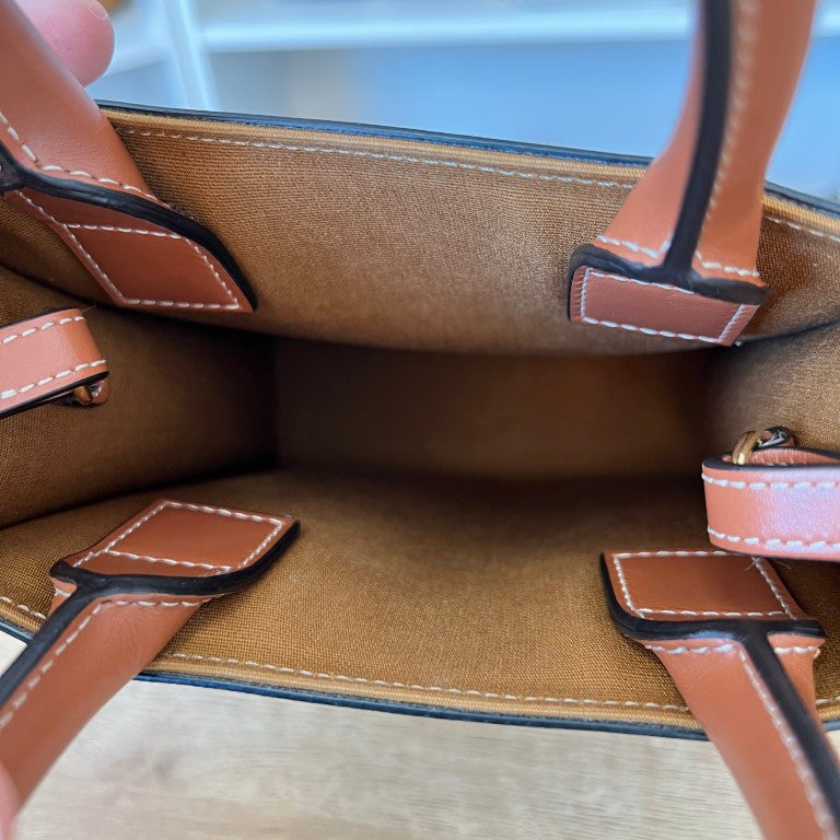 Celine Triomphe Canvas Calfskin Mini Vertical Cabas Tan