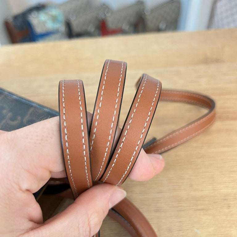 Celine Triomphe Canvas Calfskin Mini Vertical Cabas Tan