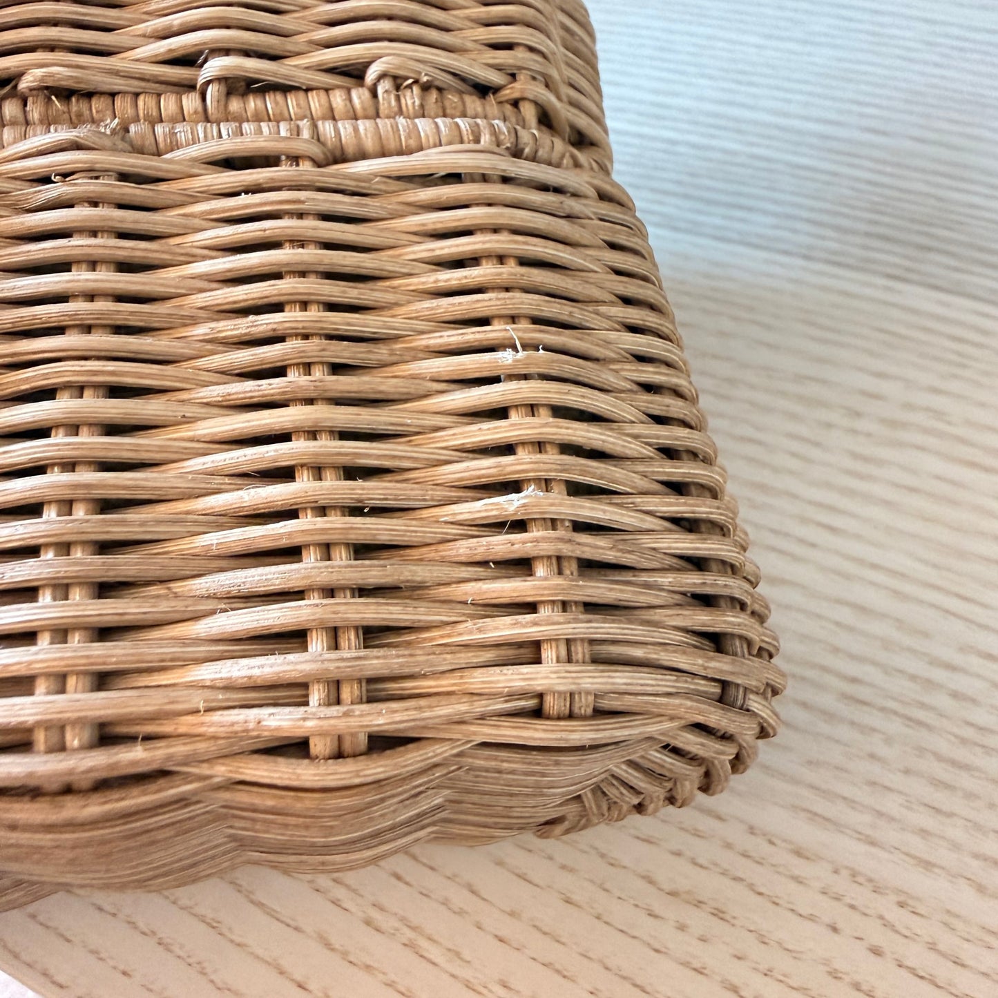 Saint Laurent Wicker Gaby Vanity Bag Natural Brick