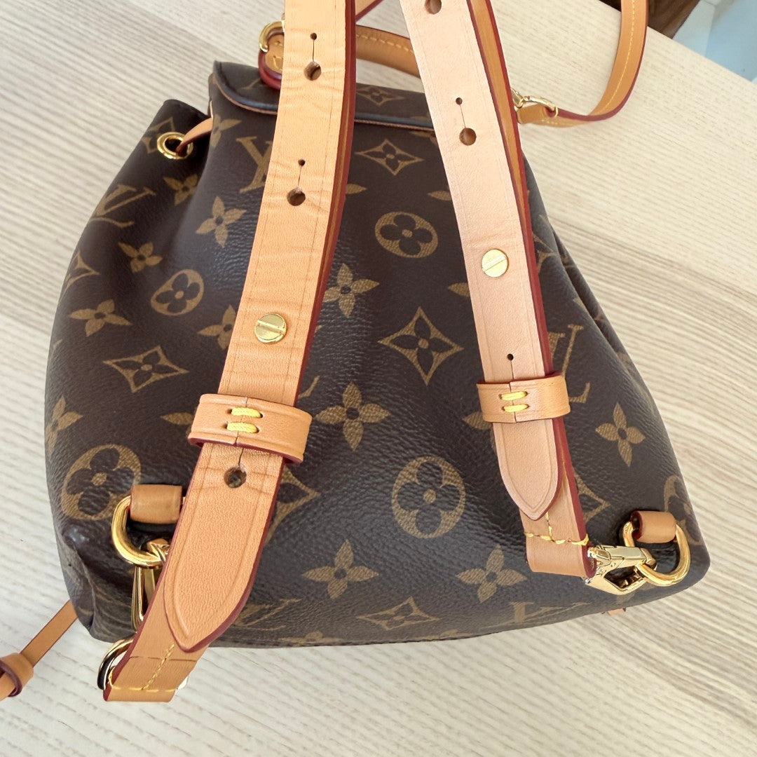 Louis Vuitton Monogram Montsouris BB NM