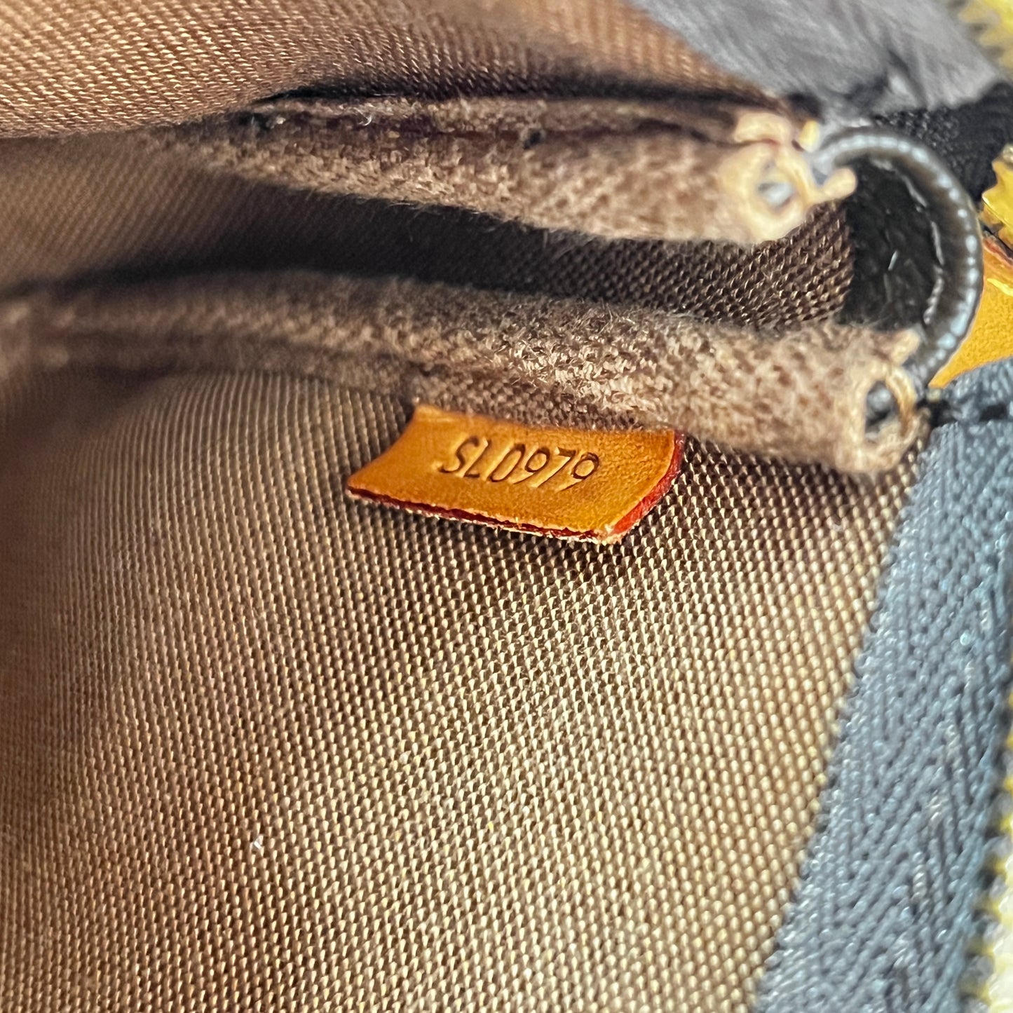 Louis Vuitton Monogram Pochette Accessories