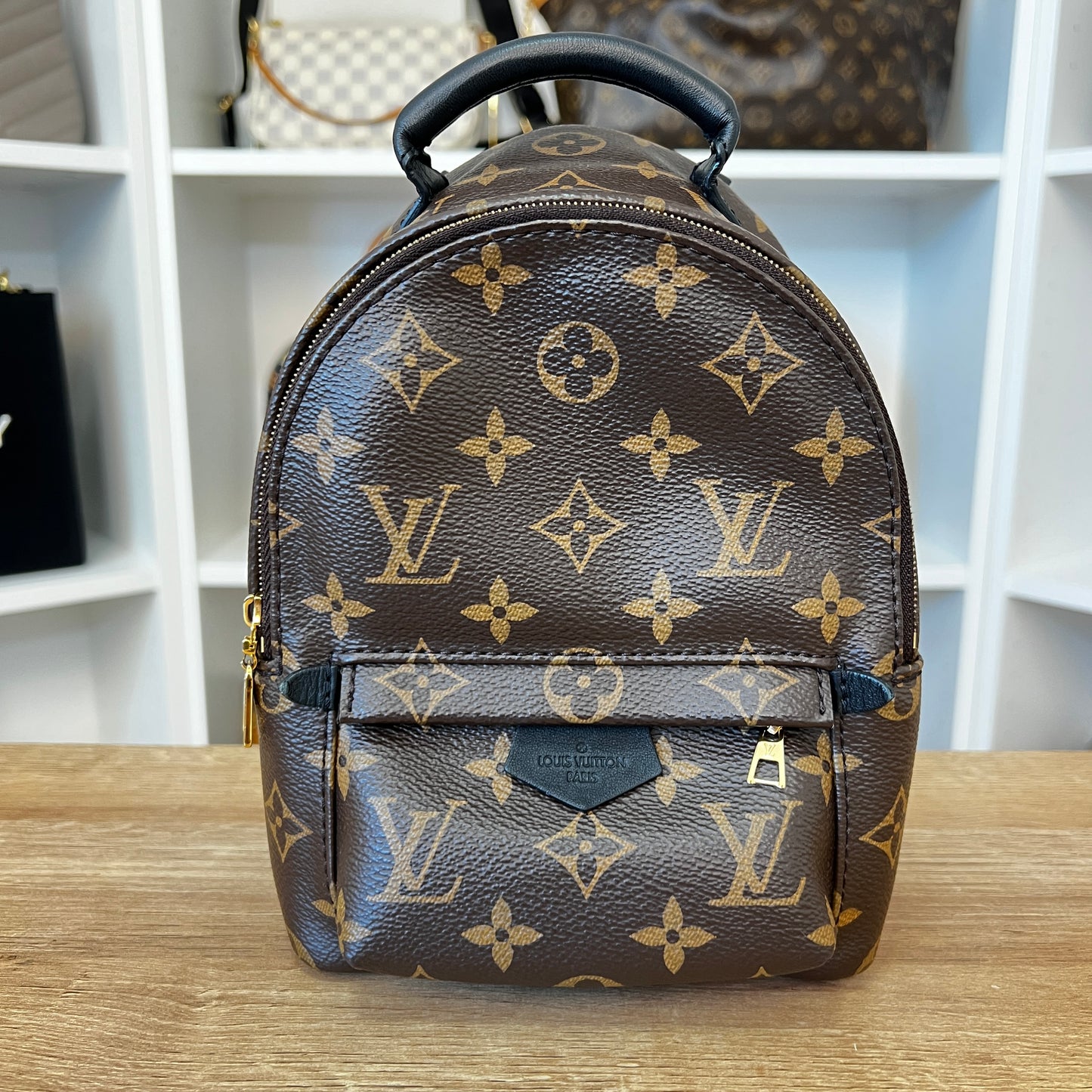 Louis Vuitton Monogram Palm Springs Mini