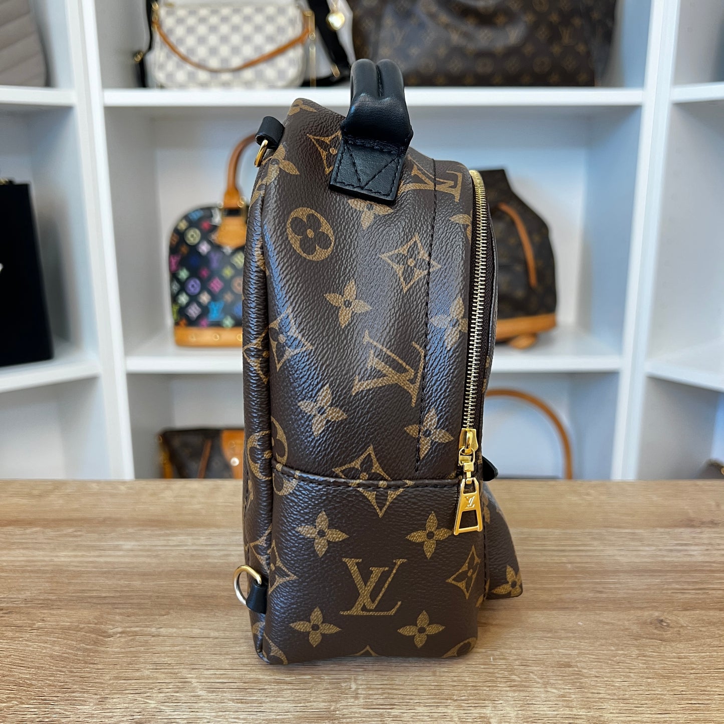 Louis Vuitton Monogram Palm Springs Mini