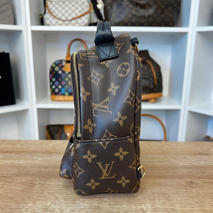 Louis Vuitton Monogram Palm Springs Mini