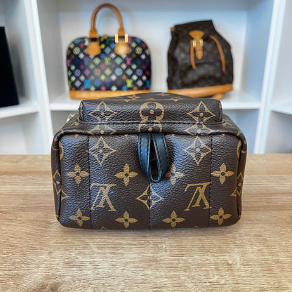 Louis Vuitton Monogram Palm Springs Mini