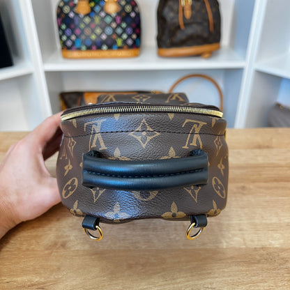 Louis Vuitton Monogram Palm Springs Mini