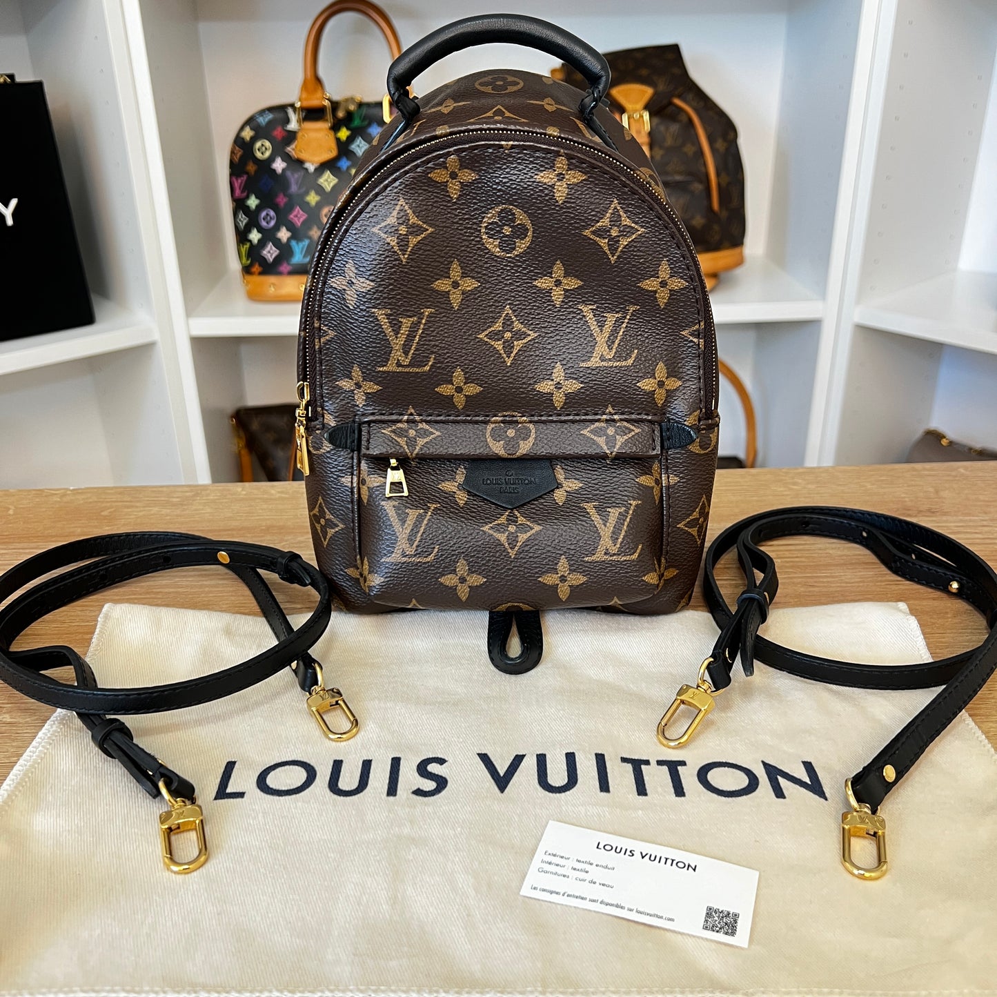 Louis Vuitton Monogram Palm Springs Mini