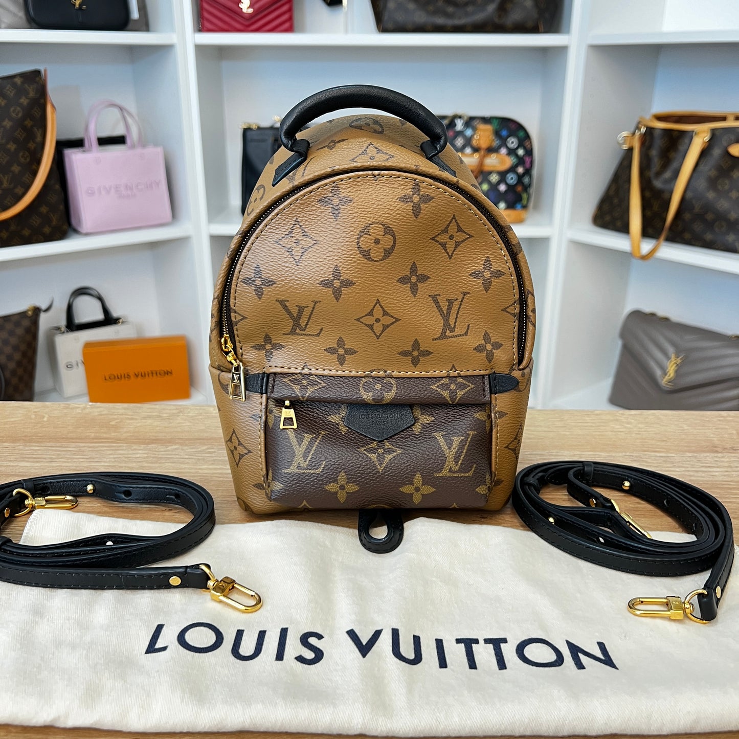 Louis Vuitton Reverse Monogram Palm Springs Mini Backpack