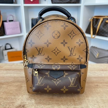 Louis Vuitton Reverse Monogram Palm Springs Mini Backpack