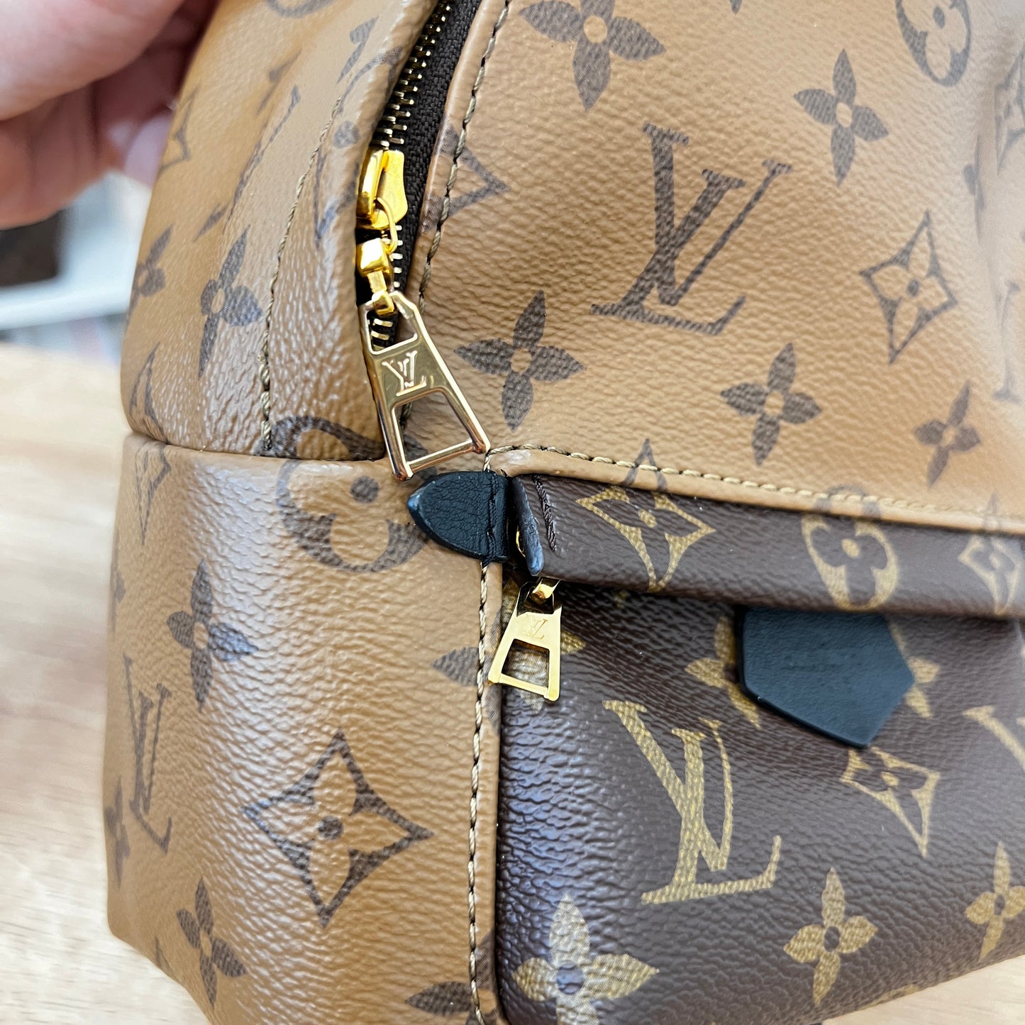 Louis Vuitton Reverse Monogram Palm Springs Mini Backpack