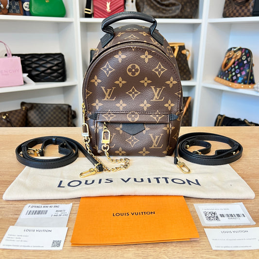 Louis Vuitton Monogram Palm Springs Mini NV