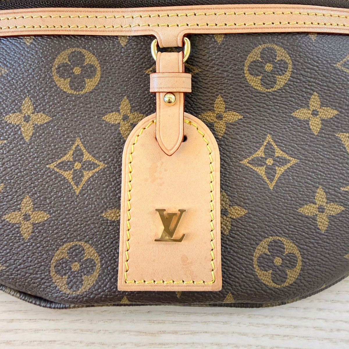 Louis Vuitton Monogram High Rise Bumbag