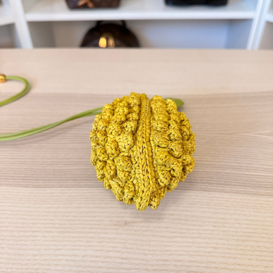 Loewe x Paula’s Ibiza 4FA Lemon Raffia Coin Case