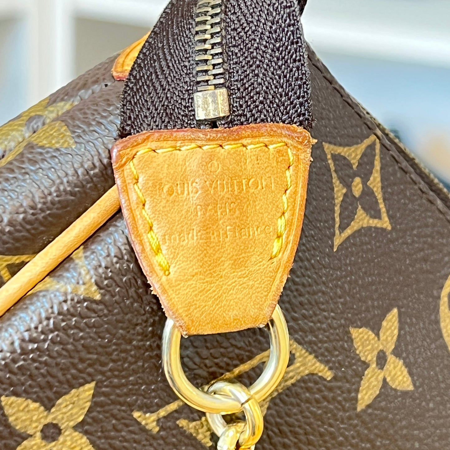 Louis Vuitton Monogram Eva