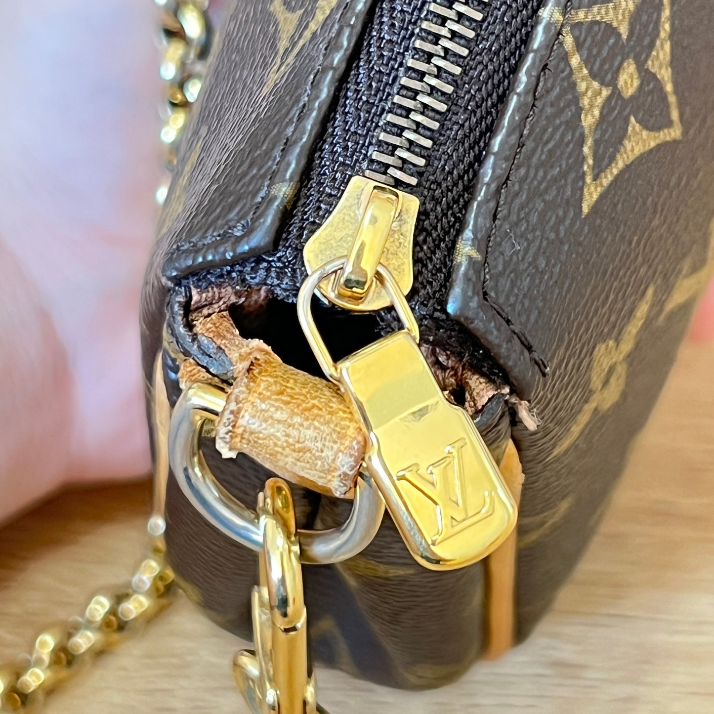 Louis Vuitton Monogram Eva