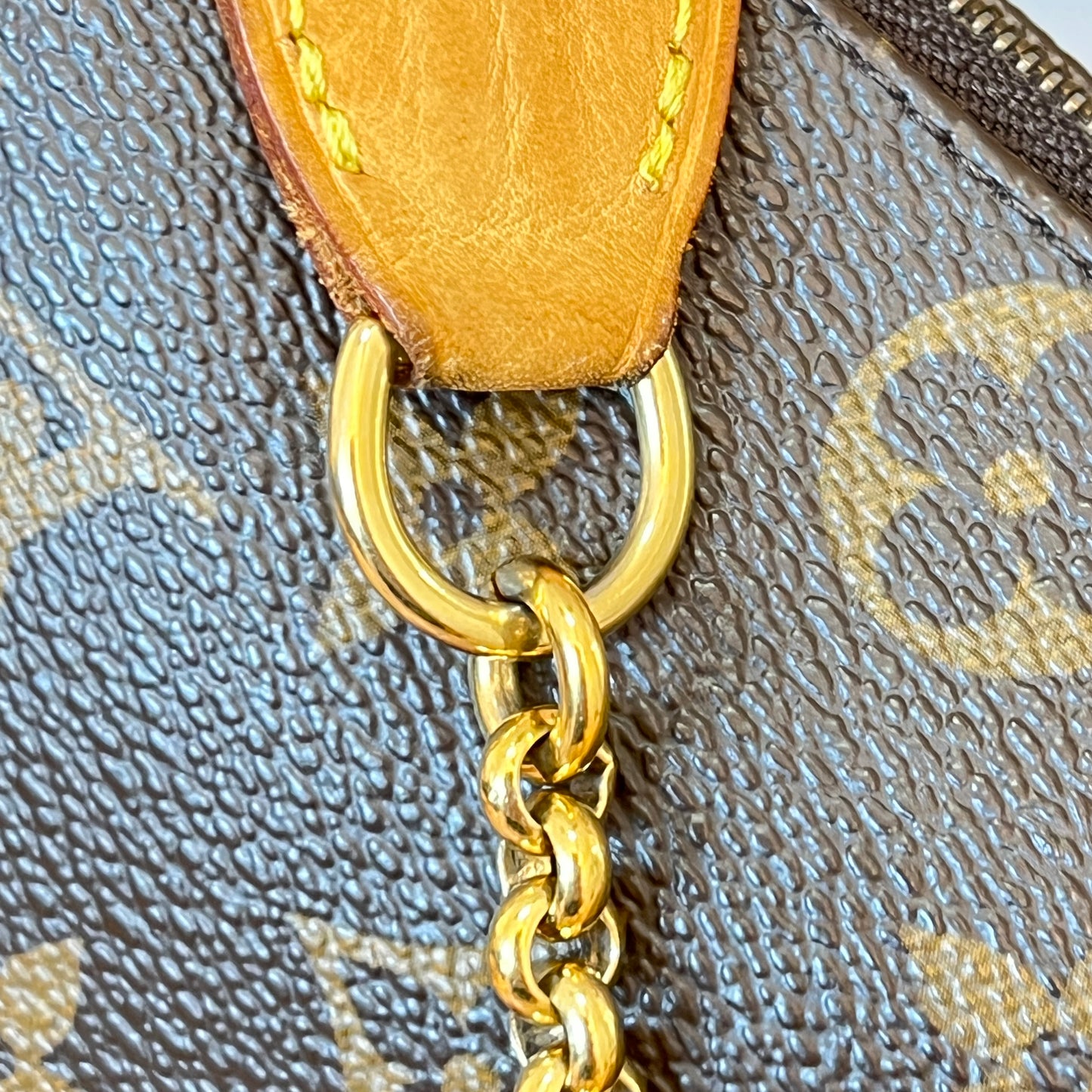 Louis Vuitton Monogram Eva