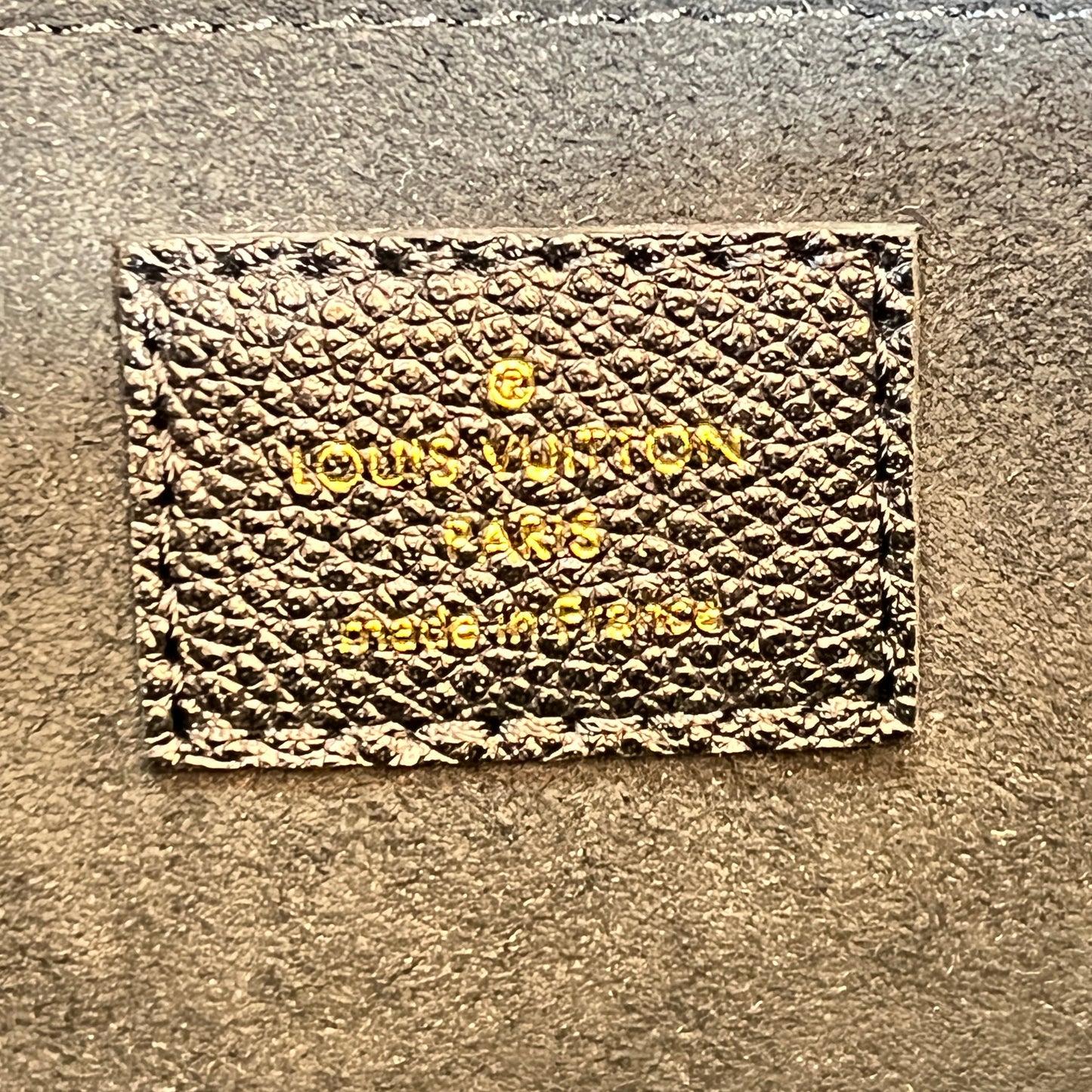 Louis Vuitton Monogram Daily Pouch