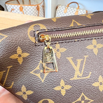 Louis Vuitton Monogram High Rise Bumbag