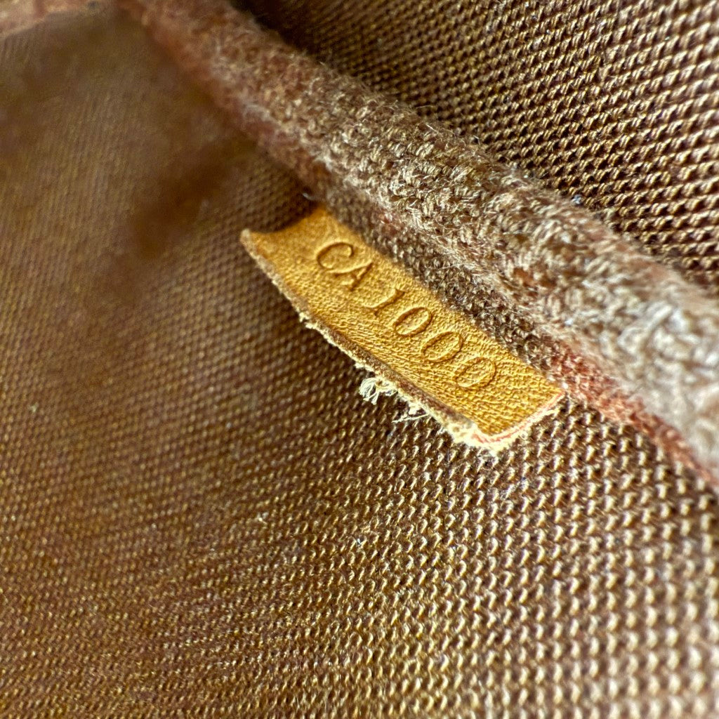 Louis Vuitton Monogram Pochette Accessories