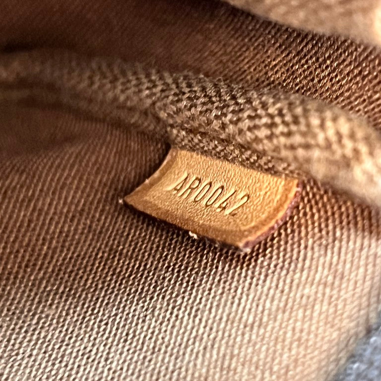Louis Vuitton Monogram Pochette Accessories