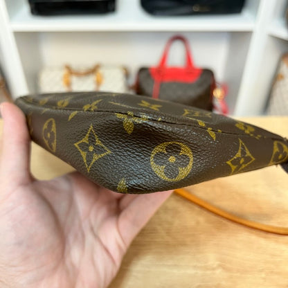 Louis Vuitton Monogram Pochette Accessories
