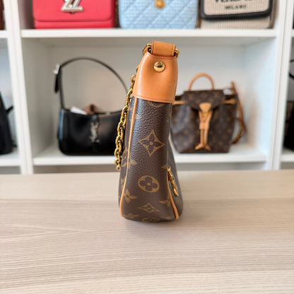 Louis Vuitton Monogram Loop