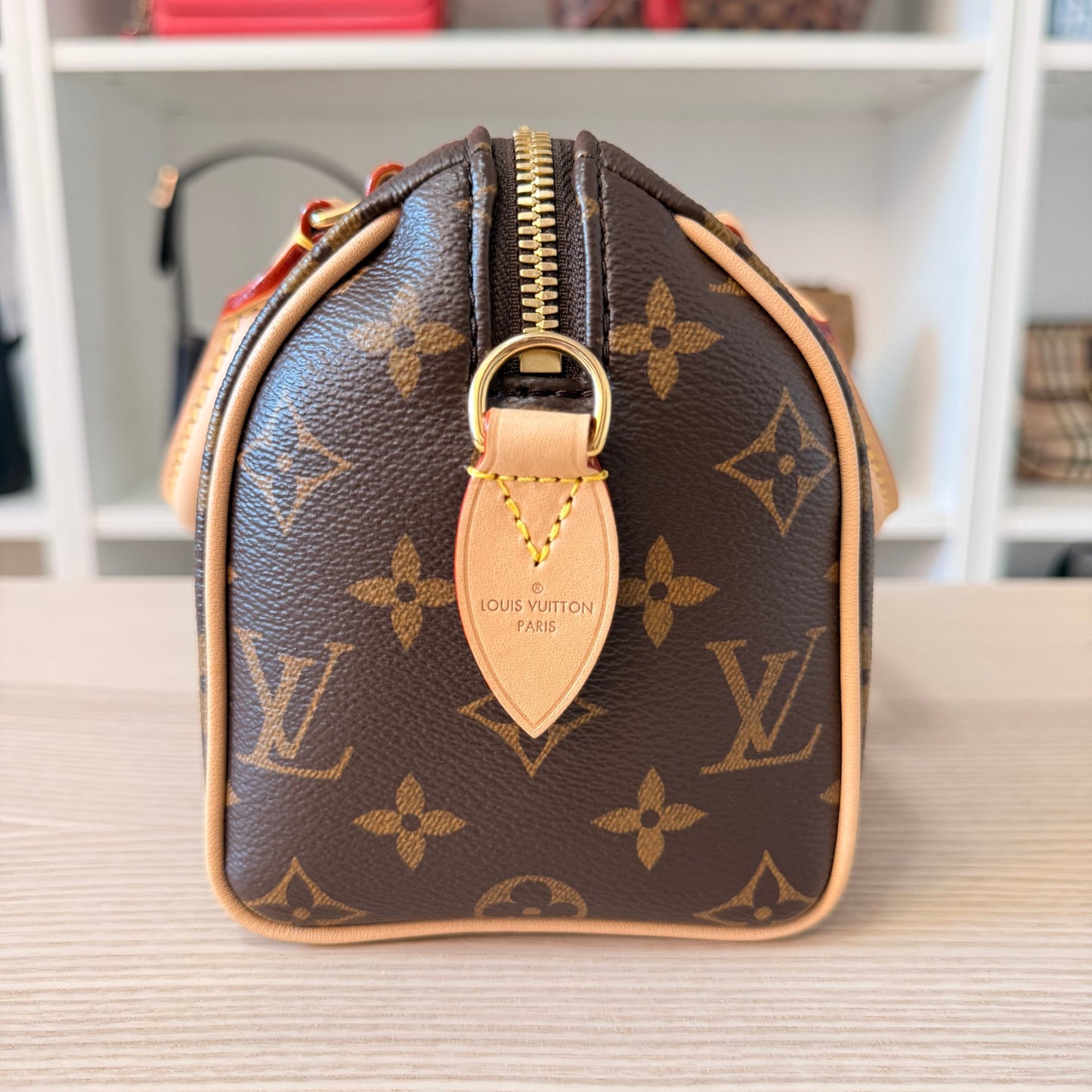 Louis Vuitton Monogram Speedy 20 Bandouliere Jacquard Strap