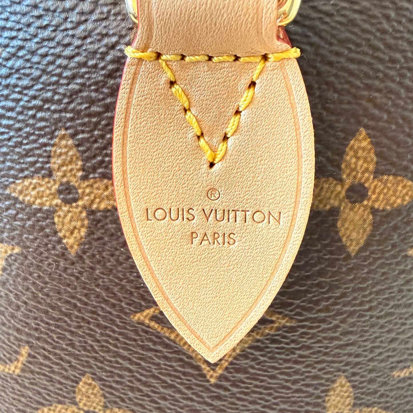 Louis Vuitton Monogram Speedy 20 Bandouliere Jacquard Strap