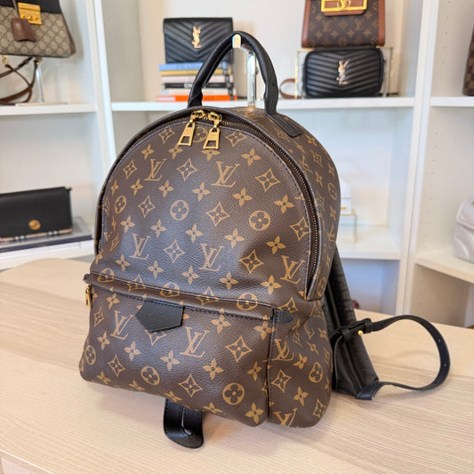 Louis Vuitton Monogram Palm Springs MM Backpack