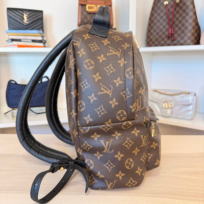 Louis Vuitton Monogram Palm Springs MM Backpack
