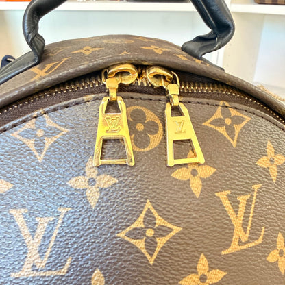 Louis Vuitton Monogram Palm Springs MM Backpack