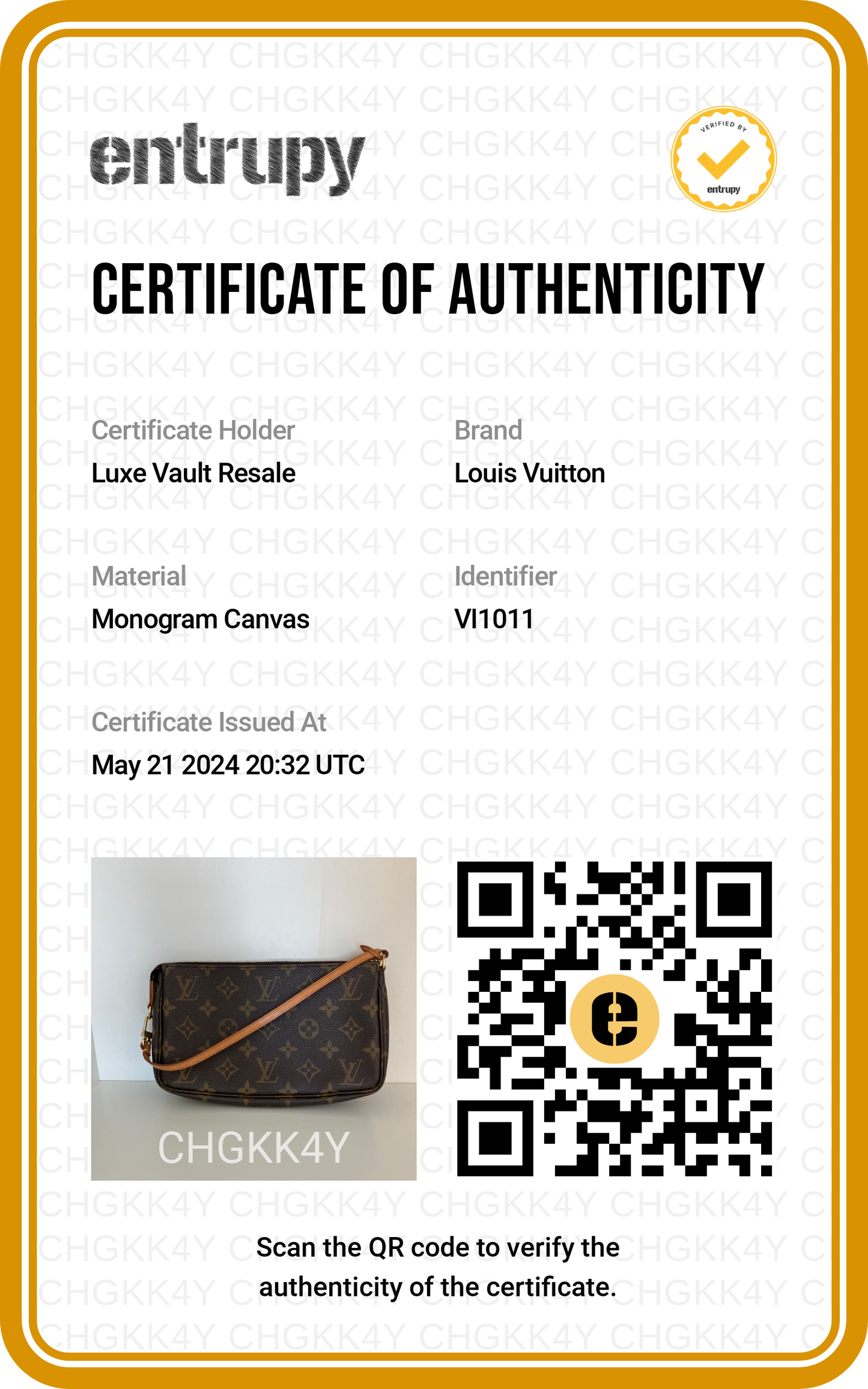 Pre-Owned Louis Vuitton Monogram Pochette Accessoires