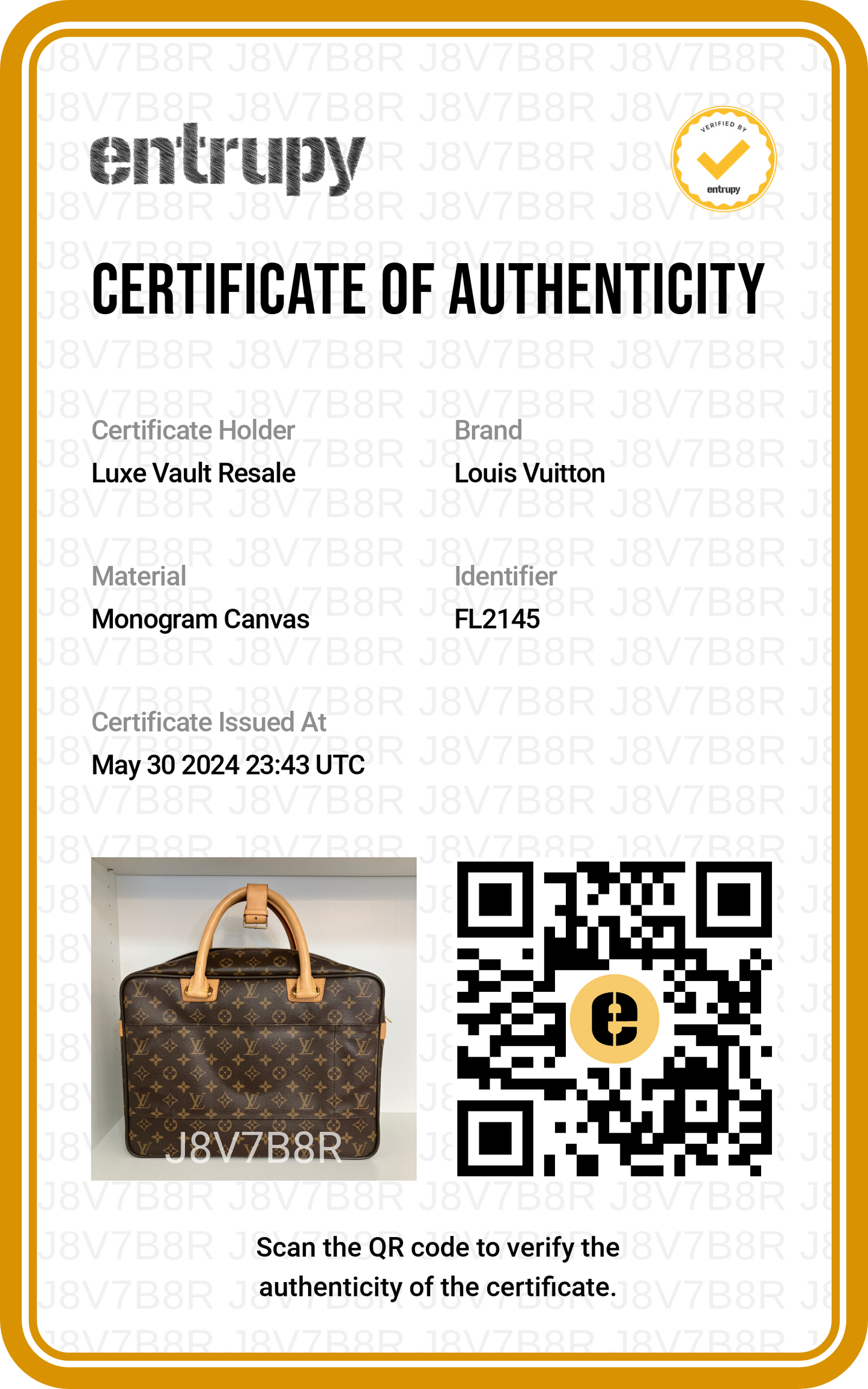 Louis Vuitton Monogram iCare